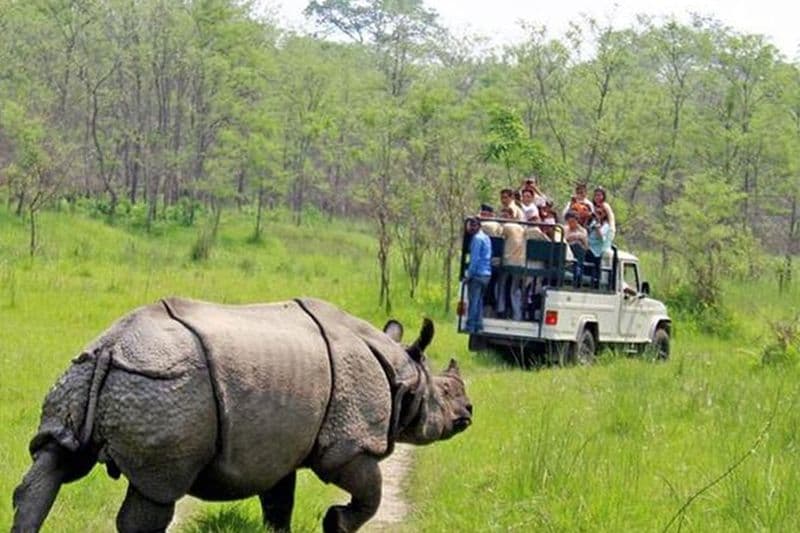Katmandou 2 nuits 3 jours Chitwan Jungle Safari Tour