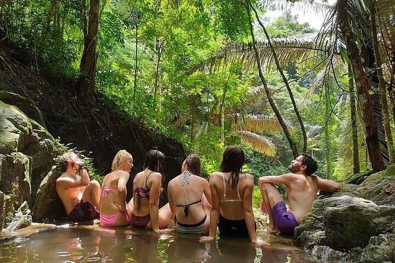 Trekking dans le sanctuaire de la faune à Khao Phra Thaeo avec déjeuner