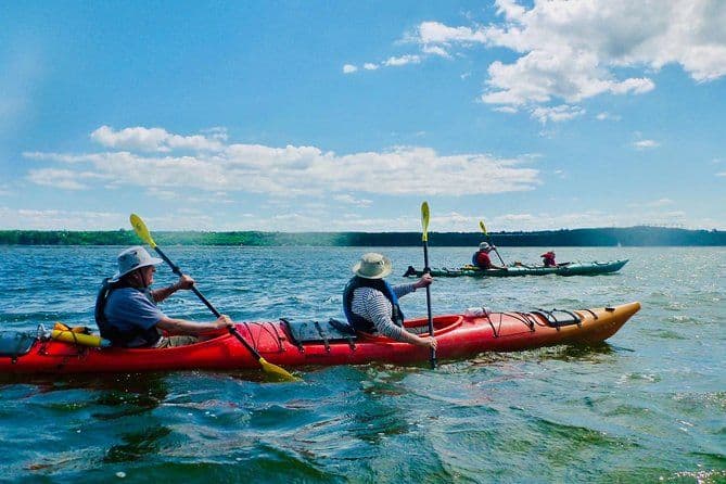 Excursion d'une demi-journée en kayak de mer en petit groupe sur l'île d'Orléans