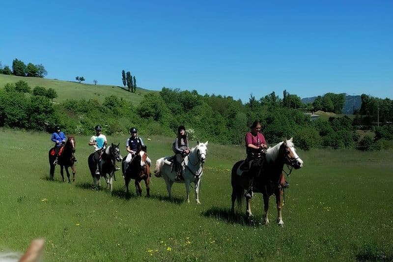 Balade à cheval avec déjeuner dans une ferme à Vergato