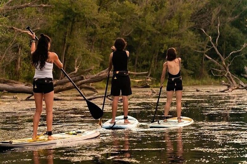 Excursion écologique en paddleboard dans les îles de Toronto, Canada