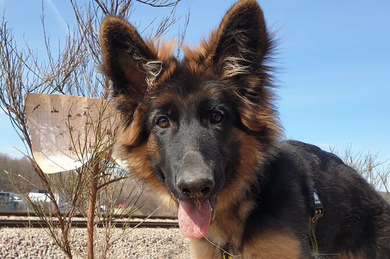 Chasse au trésor à Gdańsk, Pologne