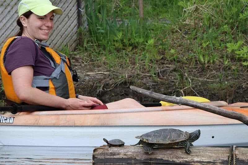 Excursion en kayak dans la réserve écologique d'Ottawa avec observations de TORTUES