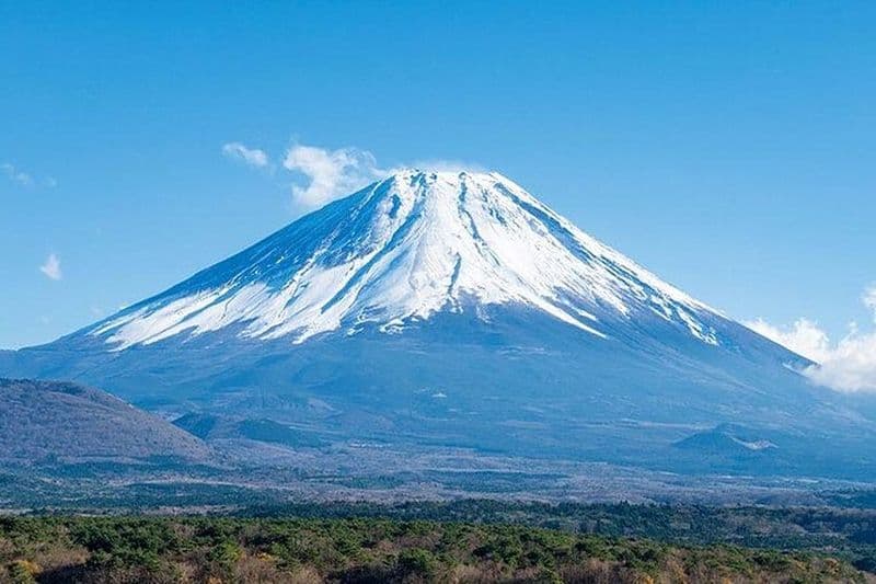 Visite en bus du Mont Fuji, du parc Oishi et de la pagode Arakurayama avec déjeuner