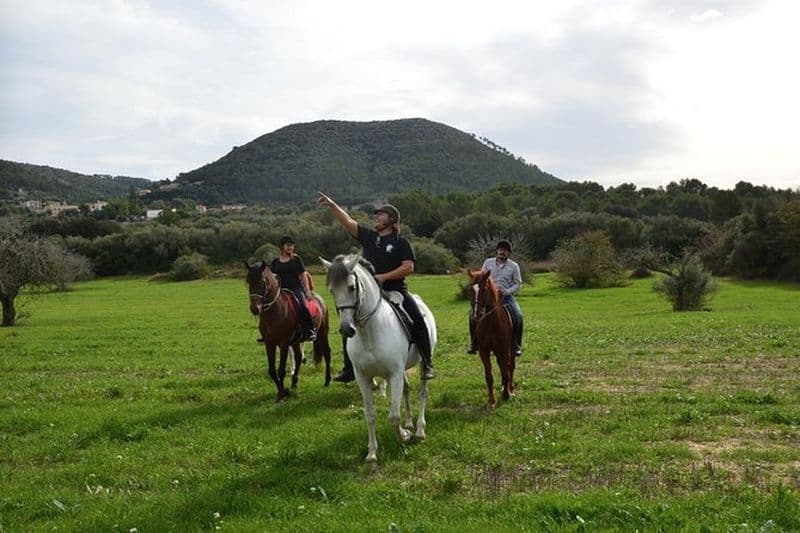 Équitation dans les vallées de Randa, Majorque, Espagne