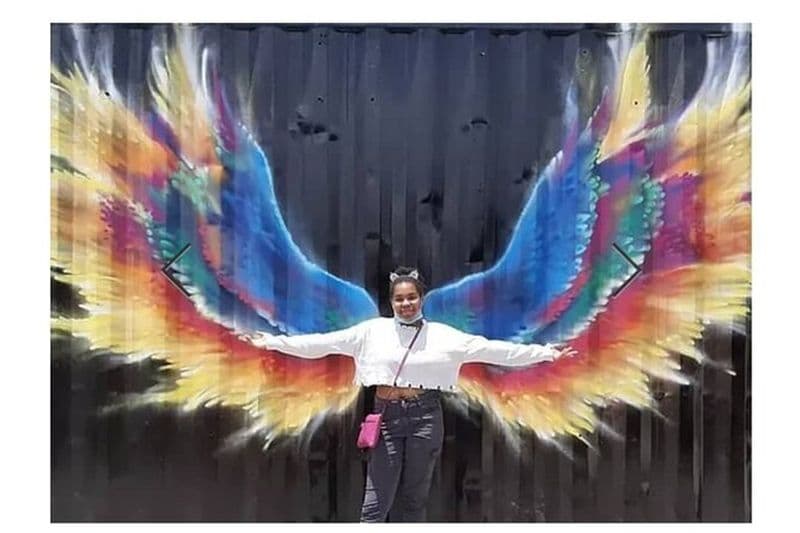 Visite de la peinture murale néerlandaise de Saint-Martin