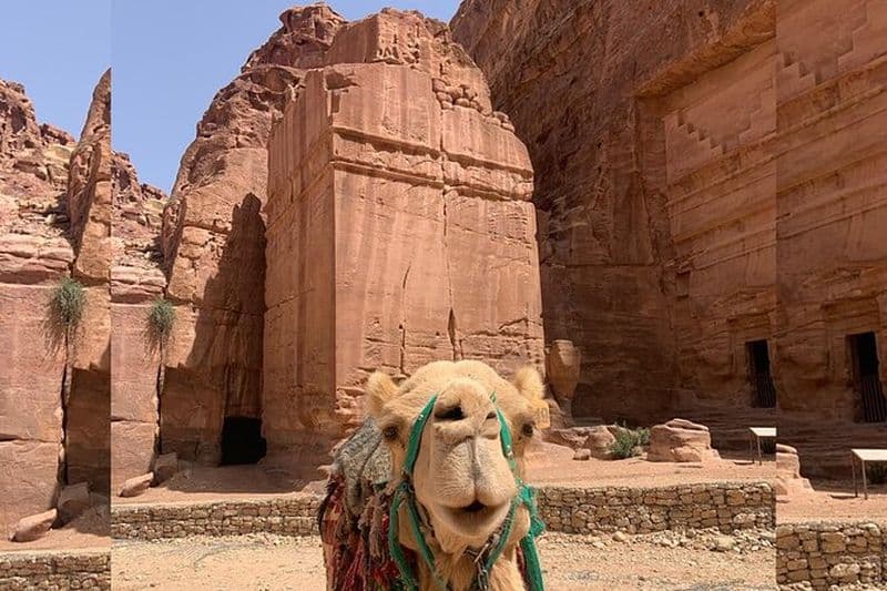 Deux jours à Petra et Wadi Rum VIP Bubble et Jeep Adventure