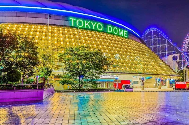 Baseball Professionnel • Yomiuri Giants