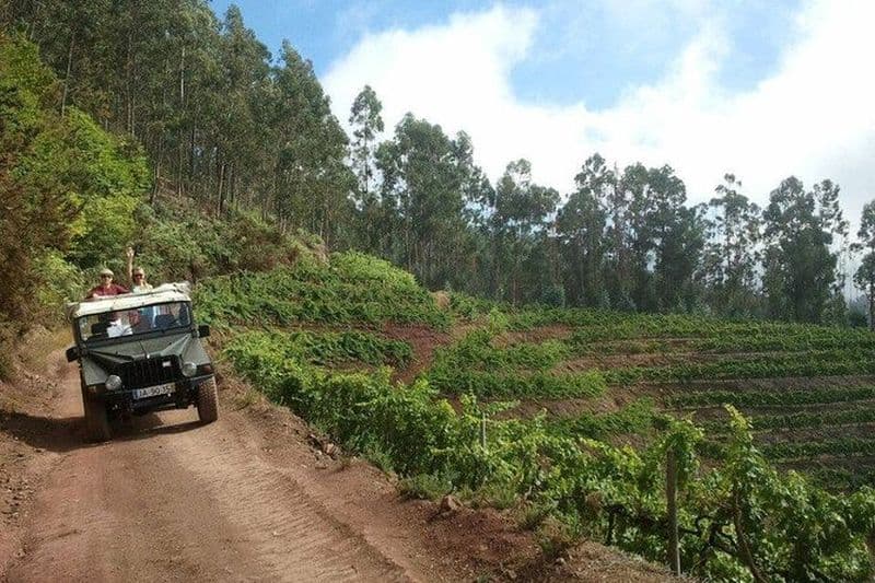 Safari d'une demi-journée en 4x4 à la découverte des montagnes, des vignobles, de la Poncha et du cap Girão (en petit groupe)