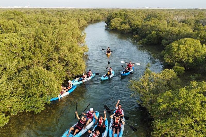Eco Kayak Adventure – Exploration des mangroves à Purple Island