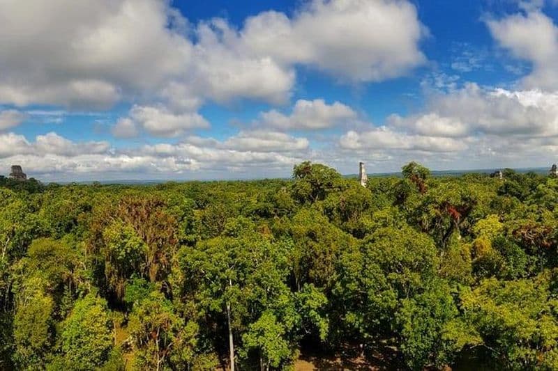 Visite d'observation des oiseaux