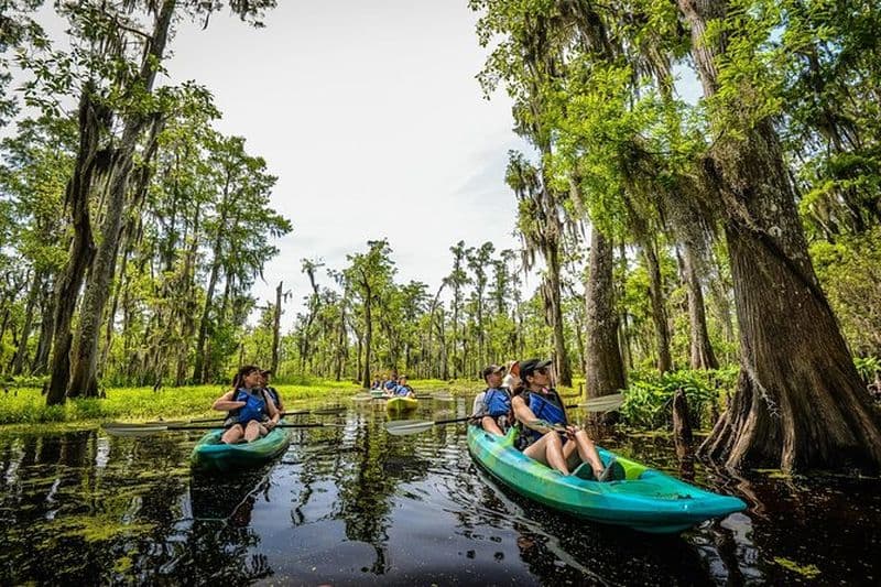 Excursion en kayak en petit groupe dans les marais de Manchac avec un guide local