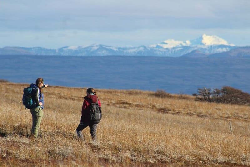 Randonnée privée dans la forêt de Patagonie à Punta Arenas : 6 heures