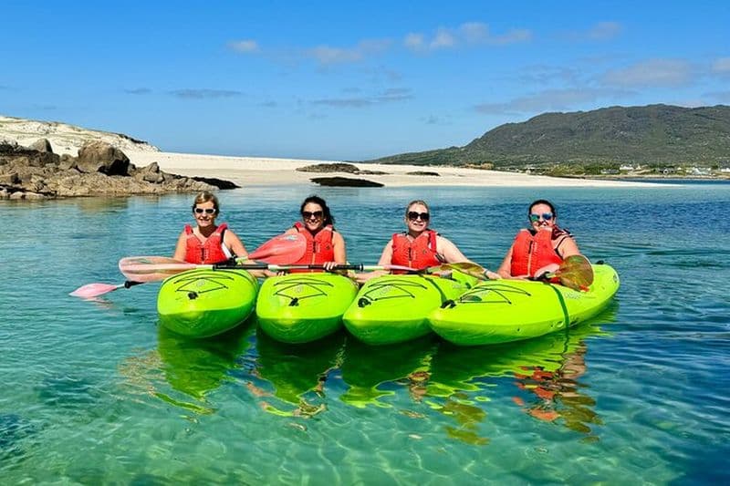 Kayak de mer 2,5h Excursion côtière et insulaire - Roundstone, Connemara