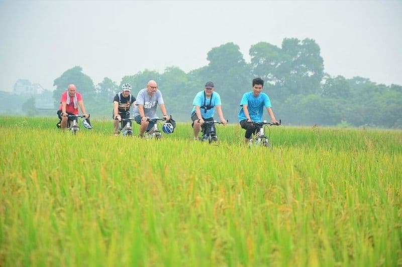 Tours à vélo Hanoï : visite d'une journée à vélo dans la campagne de Hanoï