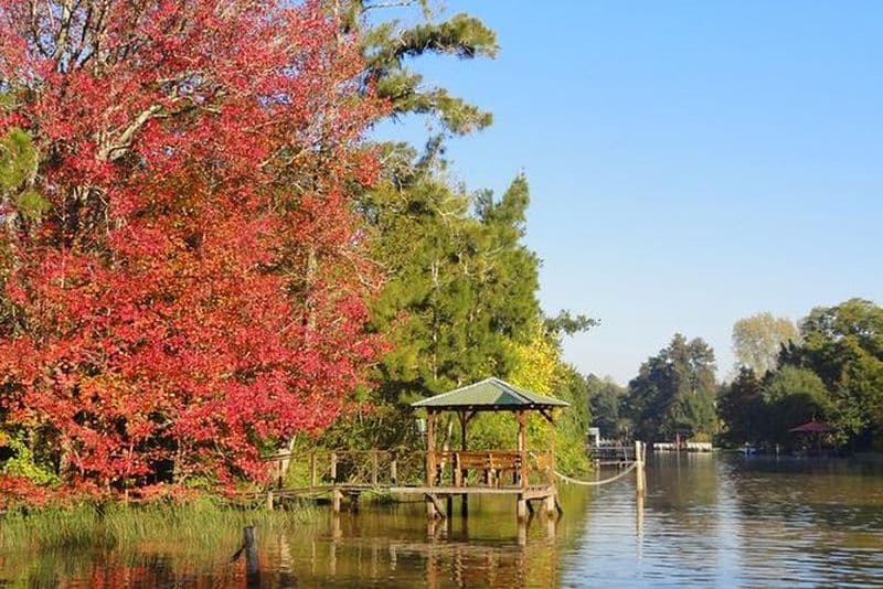 Croisière pour découvrir le Delta de Tigre au départ de Buenos Aires