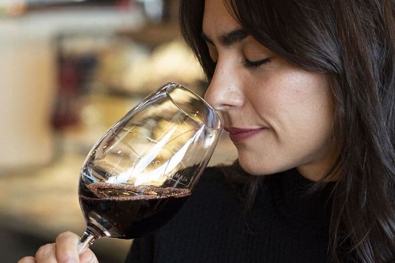 Visite photographique et dégustation de vins dans la ville d'Ushuaia