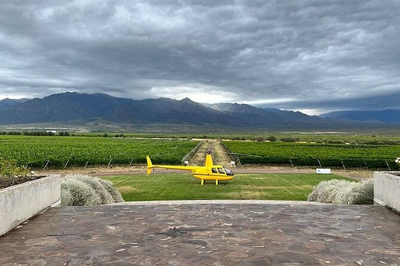 Tour privé en hélicoptère pour visiter les vignobles de Mendoza