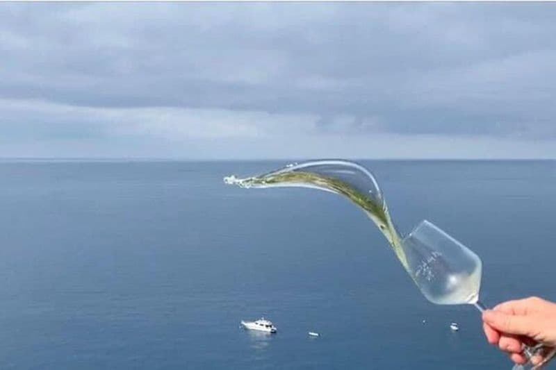 Visite des vins des Cinque Terre et dégustation avec le somelier à Manarola