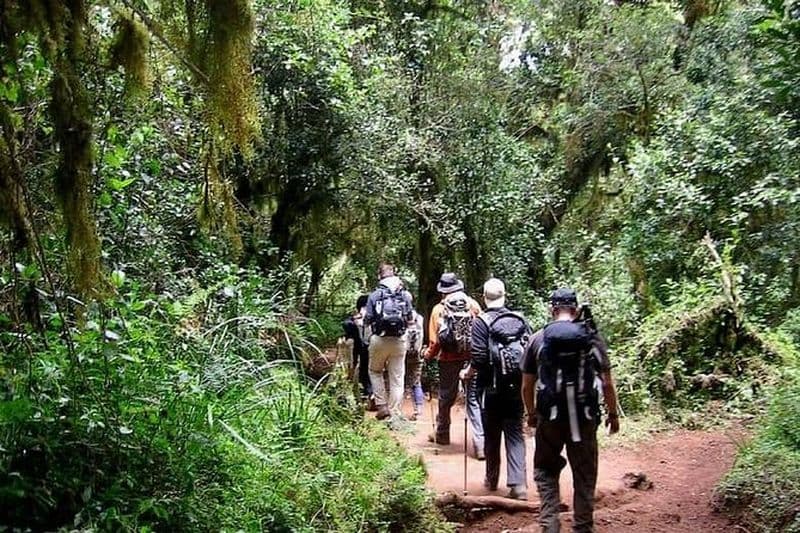 5 jours d'escalade du mont Kenya à la porte de Chogoria sur la route de Sirimon