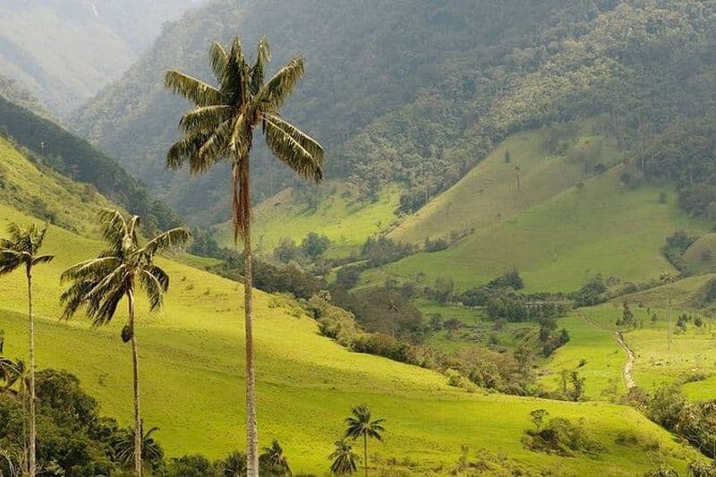 Visite à pied en petit groupe des montagnes Anamuya