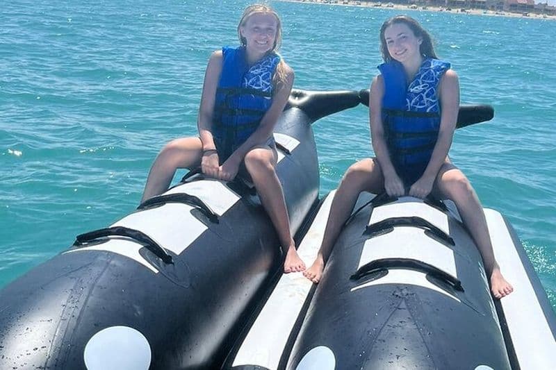 Baleine orque Manèges gonflables