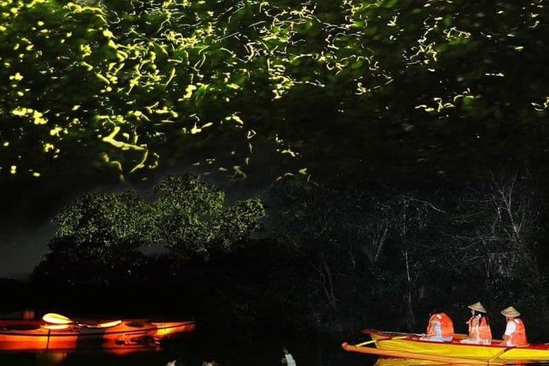 Bohol Firefly ou Fullmoon Tour Stand Up Paddle Tour