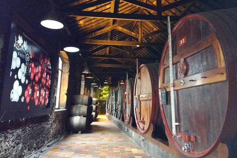 Visite des Porto Wine Lodges incluant 7 dégustations de vin de Porto (Anglais)