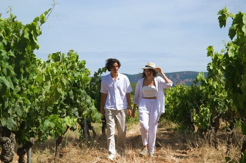 Escapade d'une Journée en Van au cœur du Vignoble Provençal