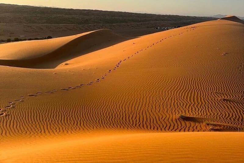 Safari privé et Wadi en 4x4 avec un guide local