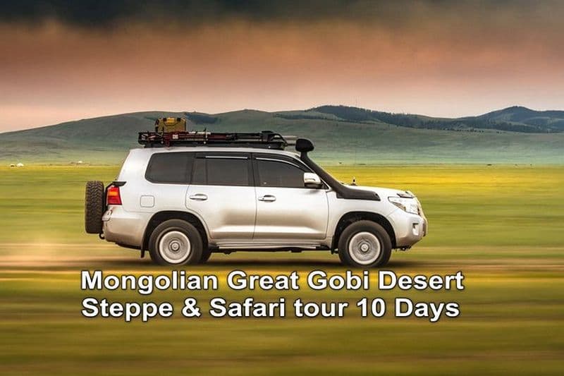 Circuit mongol du Grand désert de Gobi, Steppe et Safari 10 jours