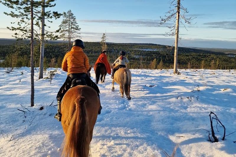 Balade à cheval sur la colline enneigée