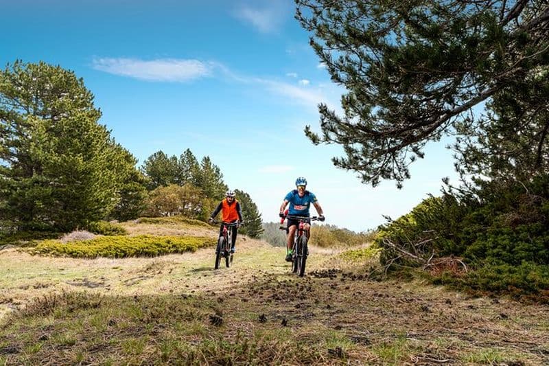 Etna en VTT Demi-journée en petit groupe