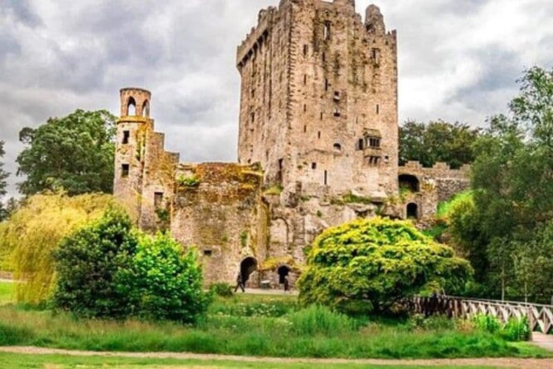 Visite du château de Blarney et du rocher de Cashel avec chauffeur privé