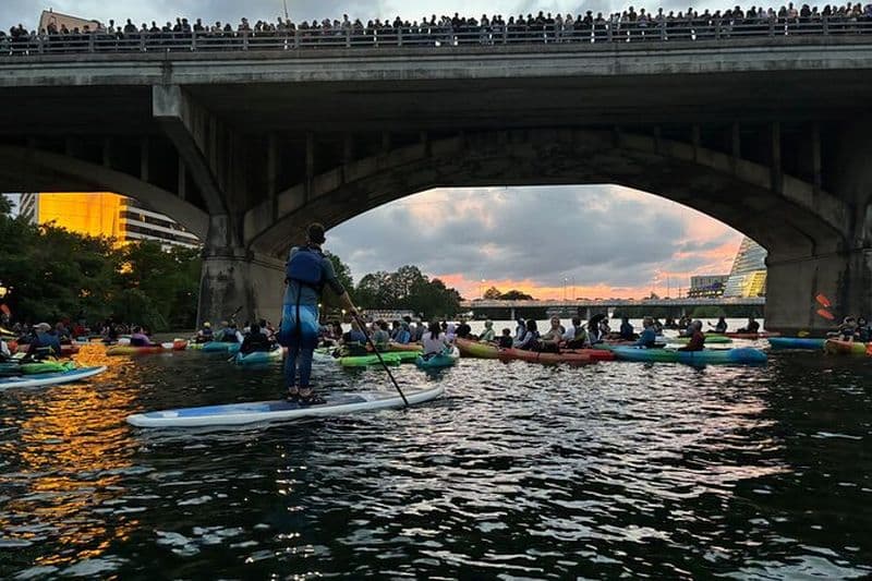 Excursion en paddleboard sur le pont Bat Bridge de Congress Avenue