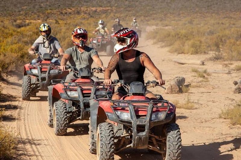 Agadir : Aventure en VTT dans le désert avec des chèvres accrobranches