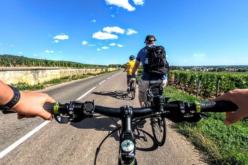 Découverte à vélo & Dégustation dans les vignes