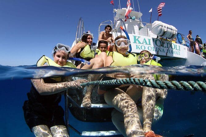 Premium croisière de plongée avec tuba et Dolphin Watch avec buffet et boissons