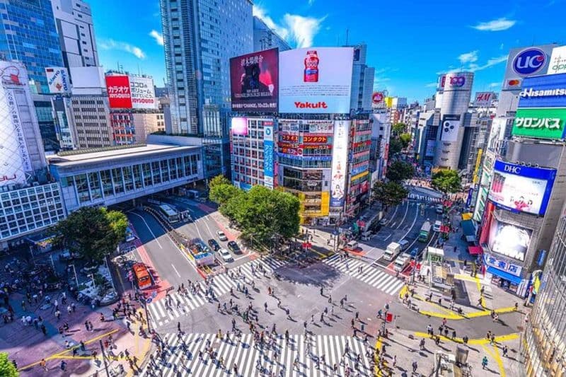 Chauffeur privé anglophone de Tokyo City