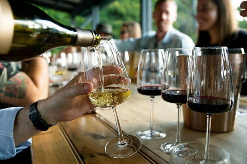 Dégustation de vins polonais - la vodka polonaise n'est pas la seule à être géniale