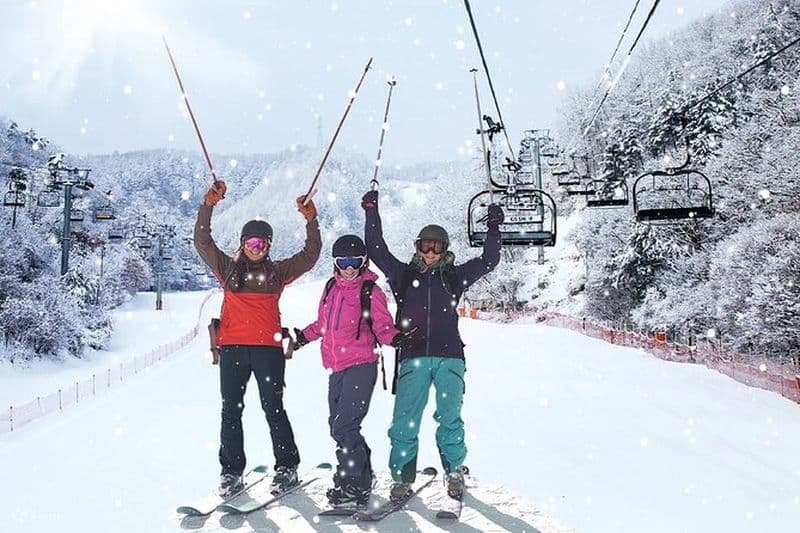 Au départ de Cannes ou Nice : Excursion Ski dans Dans Les Alpes