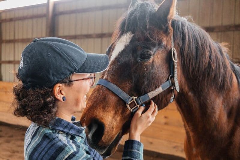 Expérience pratique de relaxation et de connexion à cheval
