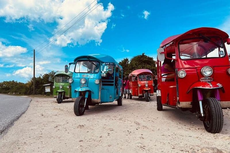 Visite de la forêt tropicale et des plages en Tuk-Tuk Adventures