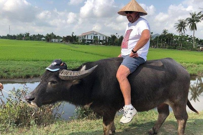 Campagne de Hoi An - Buffalo Riding - Basket Boat Rowing