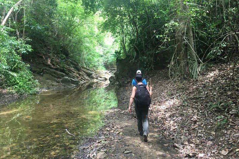 L'empreinte du Jaguar: randonnée et excursion d'une journée en musique au départ de Carthagène