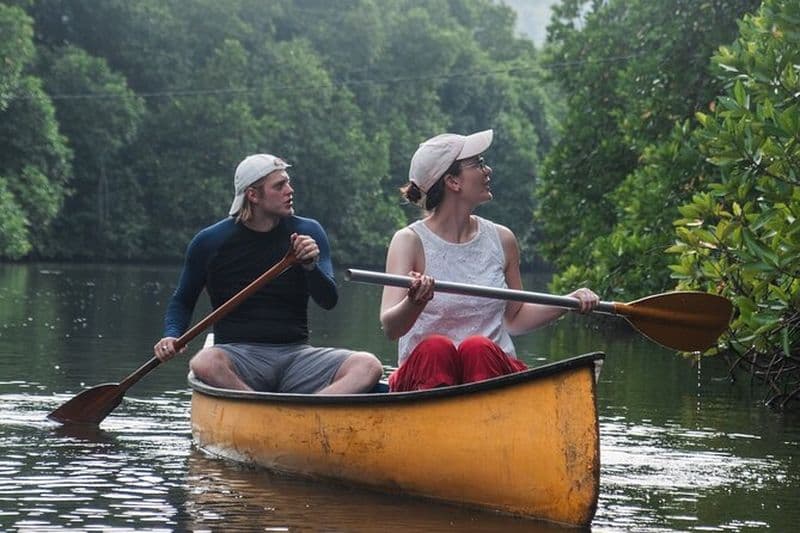 Excursion en canoë sur le lagon à Unawatuna