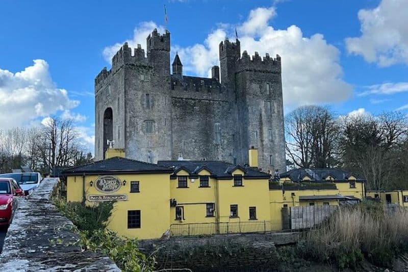Château de Bunratty et Folk Park au départ de Dublin