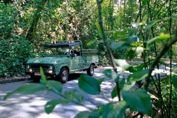 Excursion en jeep à Rio de Janeiro : forêt de Tijuca