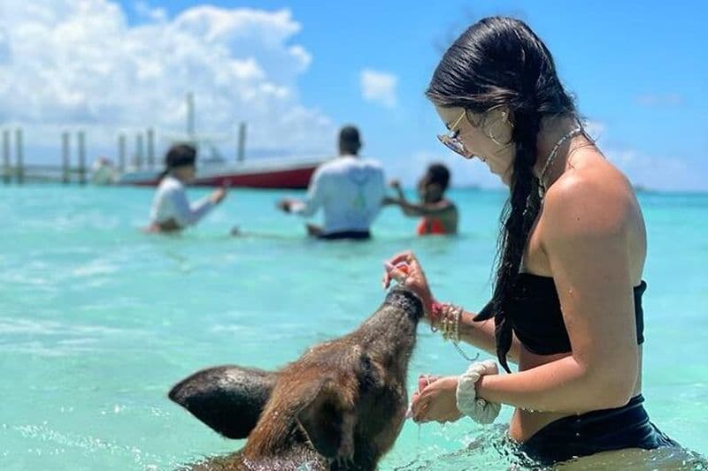 Bahamas : cochons nageurs, plongée en apnée, forfait plage