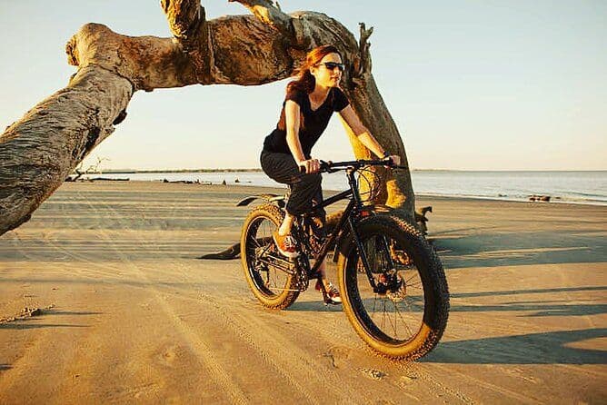 Location de VTT en Camargue